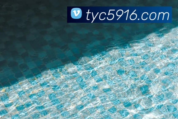 太阳城娱乐平台生态图